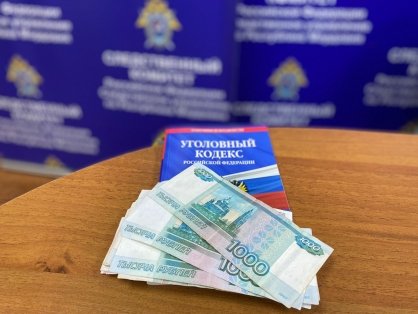 В Ковылкинском районе  местный житель предстанет перед судом по обвинению в мошенничестве